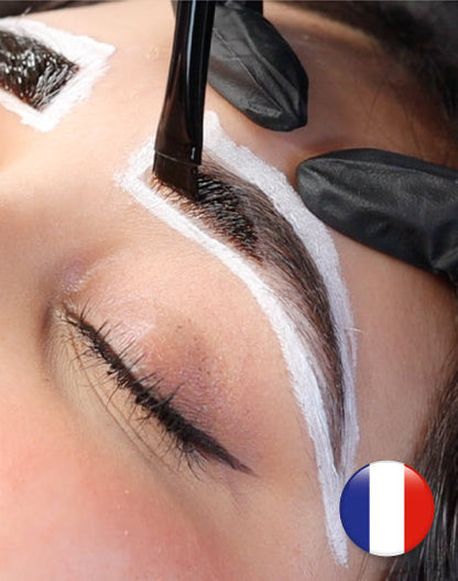Online Training Hybrid Brow Tinting (different languages)