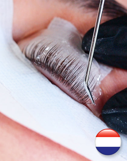 Online Training Lash Volume Lift - Nederlands