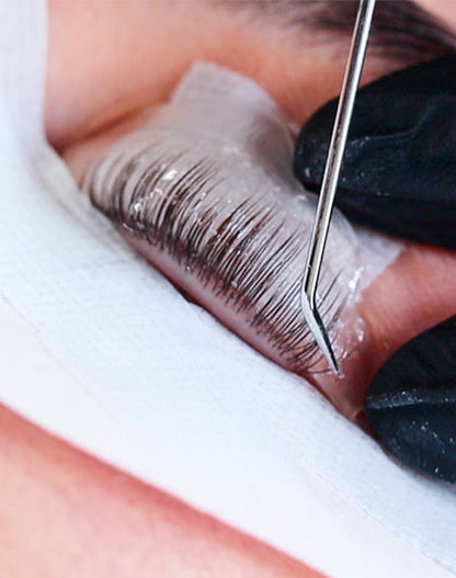 Online Training Lash Volume Lift (different languages)