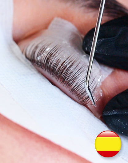 Online Training Lash Volume Lift (different languages)