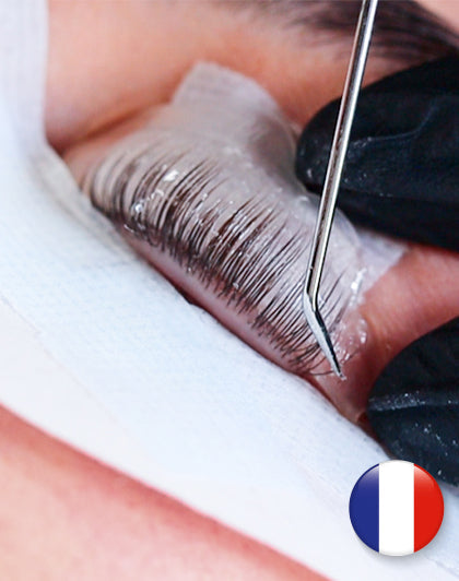 Online Training Lash Volume Lift (different languages)